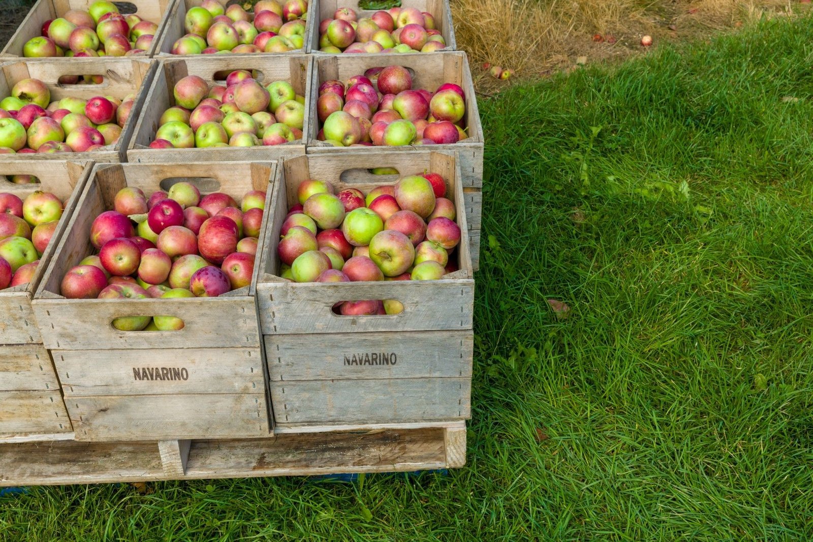 Apples arranged in market crates