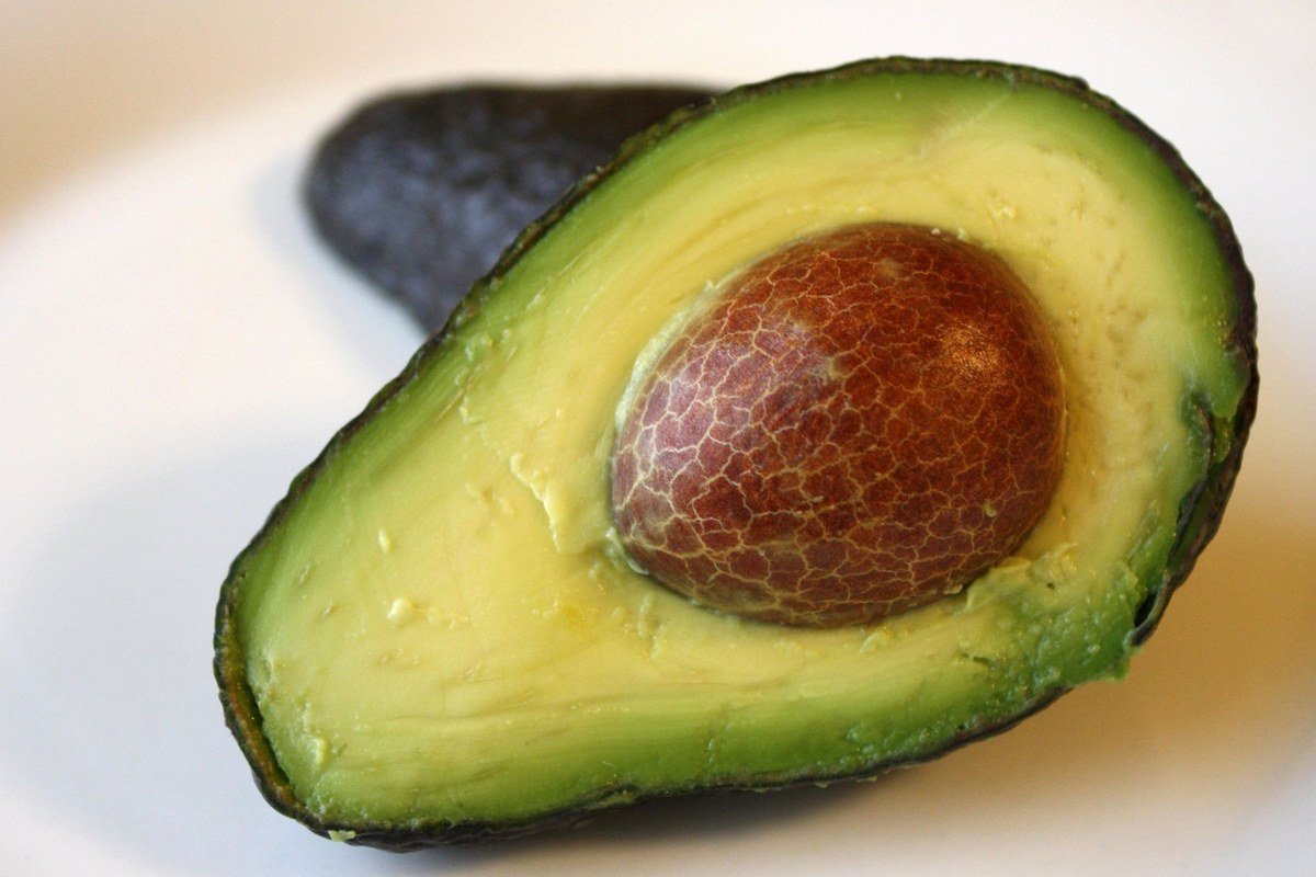 Avocado — illustrative product photograph