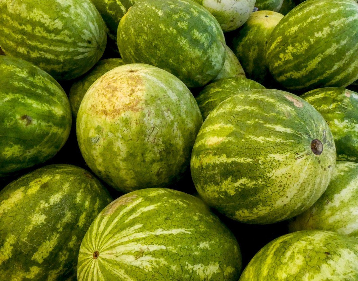 Watermelon — illustrative product photograph
